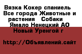 Вязка Кокер спаниель - Все города Животные и растения » Собаки   . Ямало-Ненецкий АО,Новый Уренгой г.